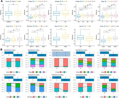 A Wnt-related gene expression signature to improve the prediction of prognosis and tumor microenvironment in gastric cancer